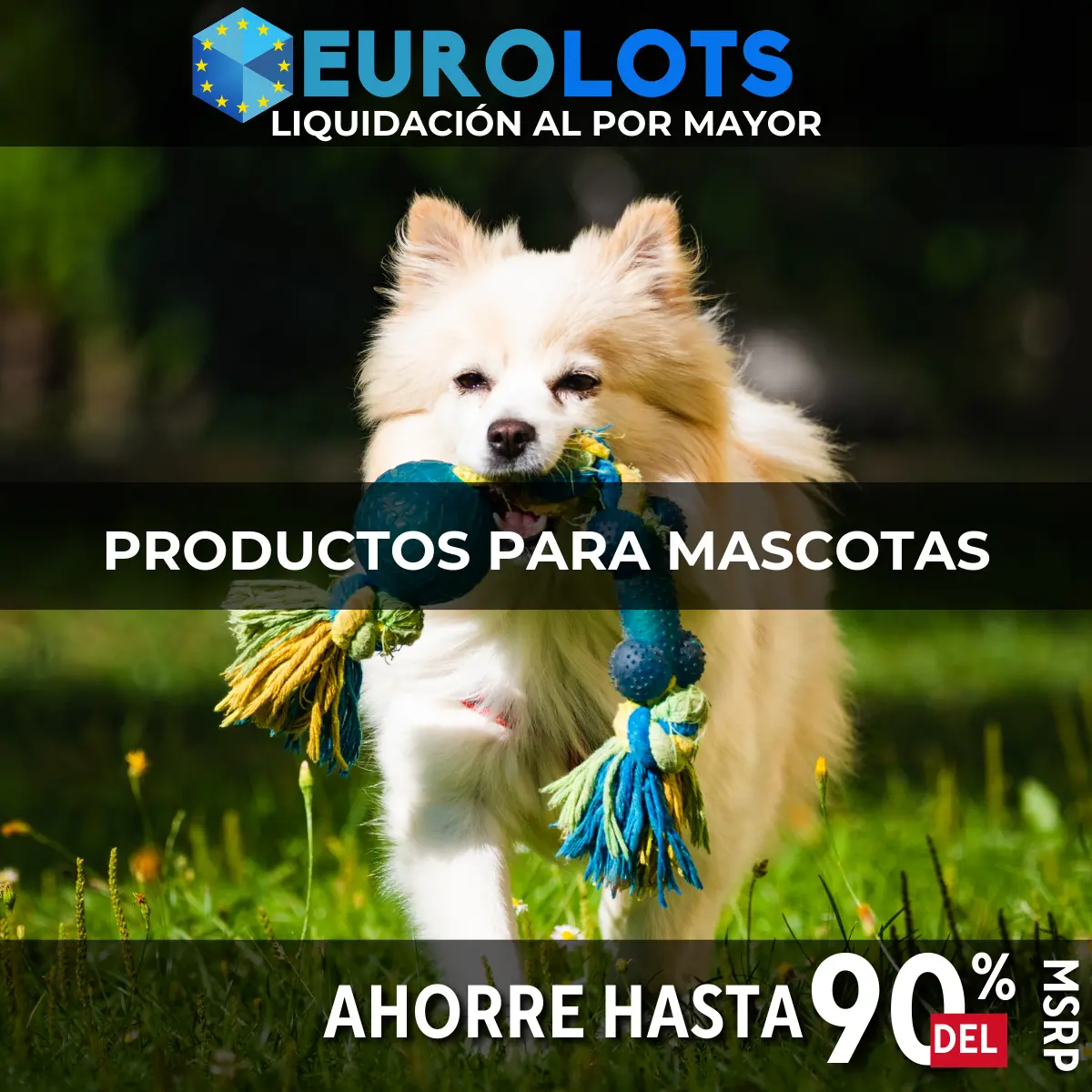 Productos Para Mascotas Venta al por mayor